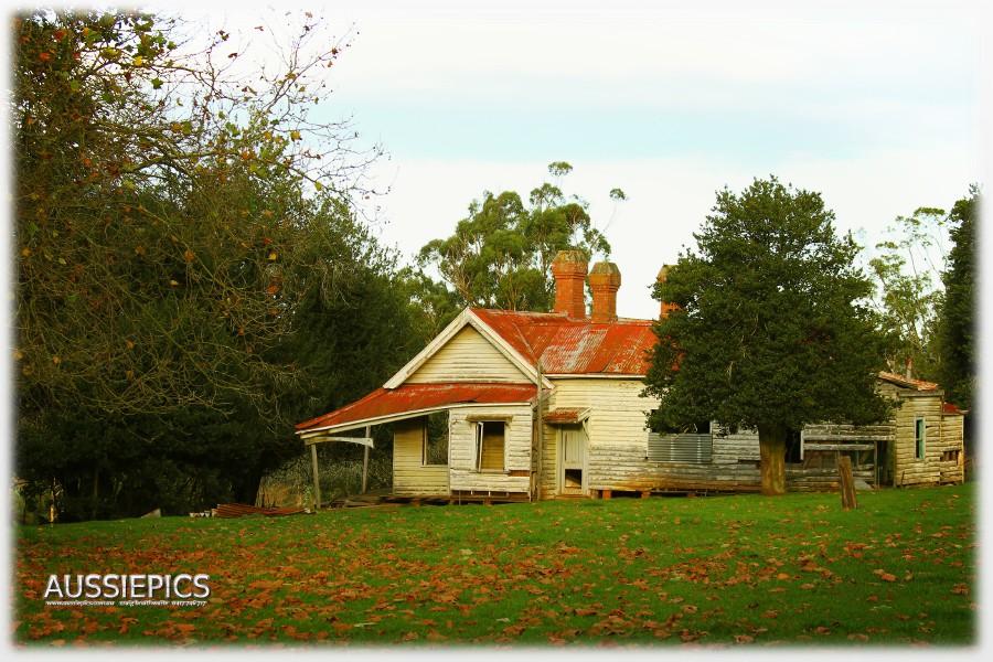 Autumn leaves surround this abandoned dairy farmers house south of Drouin.