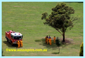 Drouin West Fire Brigade under a tree