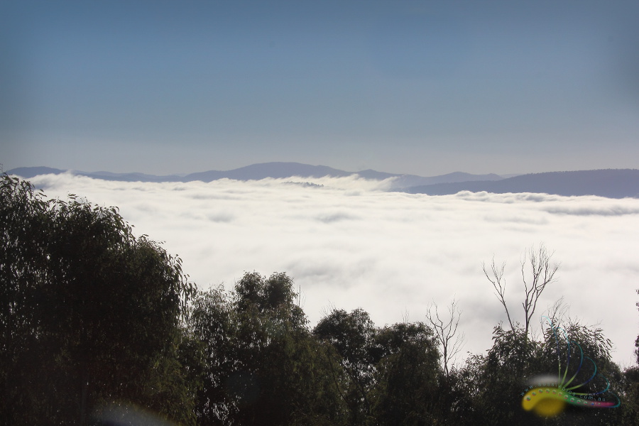 A sea of cloud over Omeo