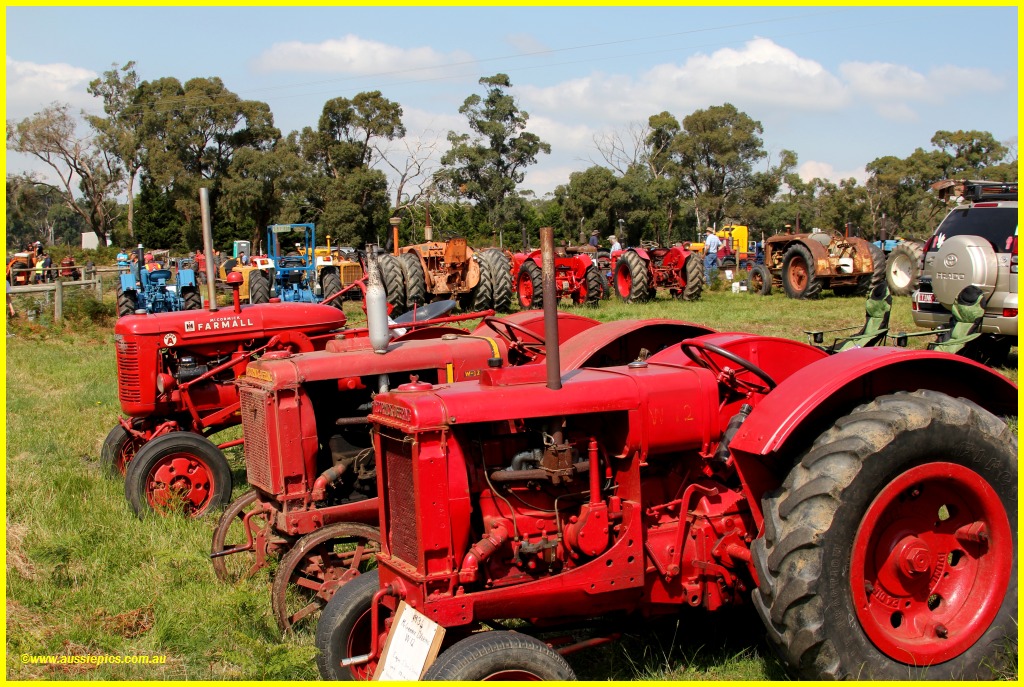 Field of tractors