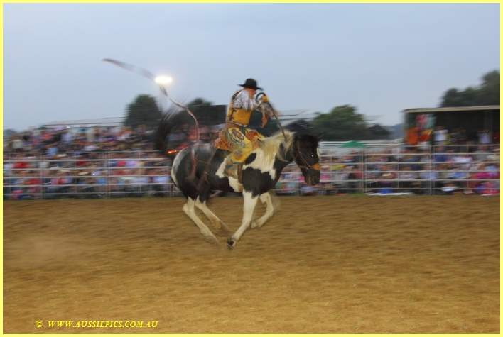 Bouncing Rodeo Pony