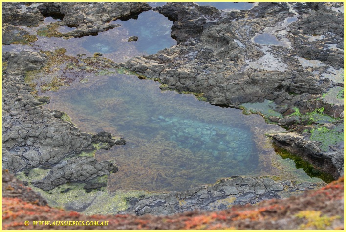 Rock pools at Ventnor, Phillip Island