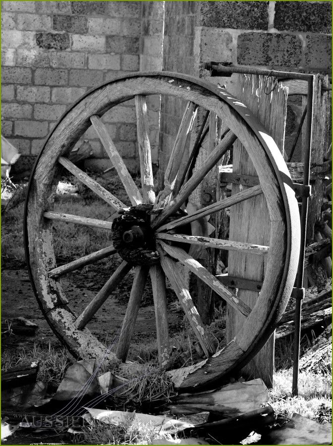 Steel rimmed wheel at Knox's Farm, Leongatha