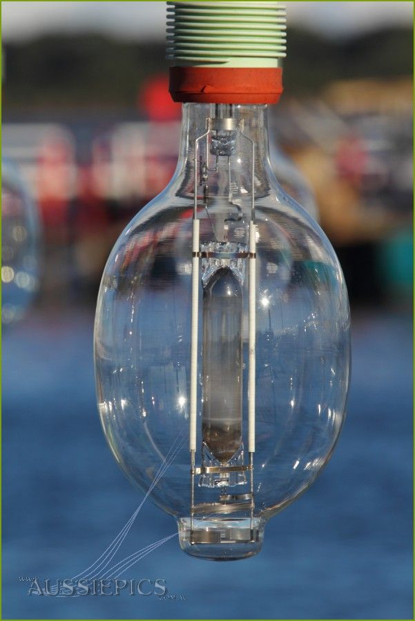 Man-Size light bulb.